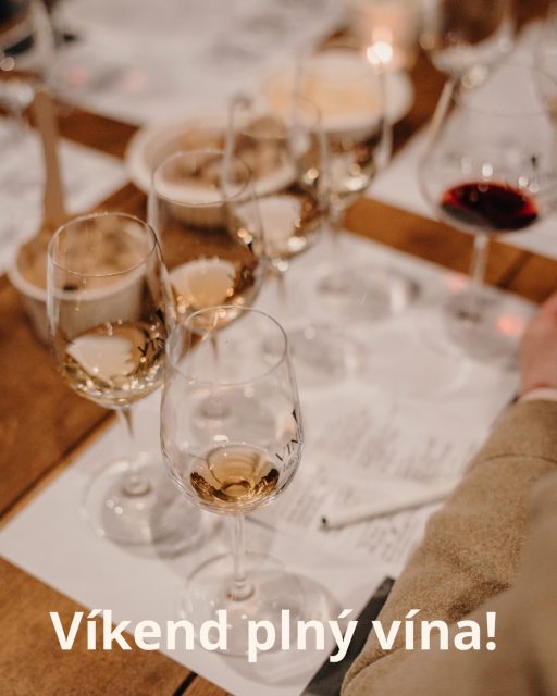 Ve Velkých Pavlovicích nás čeká víkend plný vína!
Máte jedinečnou možnost se zchladit v našem křížovém sklepě!
V pátek pořádáme degustaci archivních vín a vy tak můžete porovnat naše staré ročníky s těmi současnými.
V sobotu od 17 hodin bude sklep otevřený znovu v rámci akce Noční otevřené sklepy aneb Víno v oranžovém.
Těšíme se na vás!
Více na: https://vinium.cz/nocni-otevrene-sklepy-aneb-vino-v-oranzovem-2026/
PS: Vinotéka je pro vás otevřená celý víkend!
#vinium #nocniotevrenesklepy #degustace #vikendplnyvina