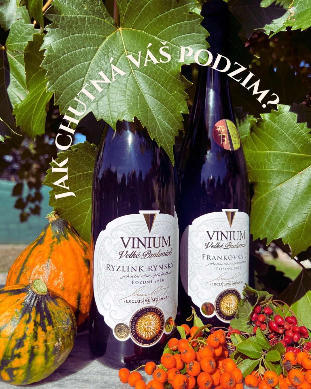 Které víno patří k vašemu podzimu? 
🍂 SOUTĚŽ O PODZIMNÍ BALÍČEK VÍN VINIUM 🍂
Podzimní večeře s přáteli, klidný večer doma nebo oslava, na kterou se těšíte celý rok. Ke každé chvíli se hodí trochu jiné víno.
Jaké víno byste si vybrali pro svůj podzimní večer? Napište nám do komentáře odrůdu a označte toho, s kým byste si láhev tohoto vína otevřeli.  Nezapomeňte dát sledování našemu profilu. 
Ze všech odpovědí vylosujeme jednoho z vás, komu pošleme balíček šesti vín řady Vinium Exclusive. 
Zapojit se můžete do neděle 18. 10. 2026. Výherce oznámíme druhý den v komentáři pod tímto příspěvkem.

Soutěž je určena osobám starším 18 let s doručovací adresou v ČR. Není sponzorována, podporována ani spravována Instagramem a Instagram s ní není spojen.

#vinium #soutez #vyhrajvino #podzimnisoutez