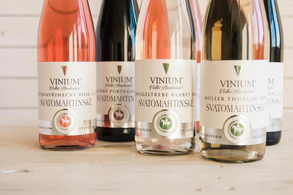 Foto ke článku 4, Svatomartinské víno, Müller Thurgau, Zweigeltrebe klaret, rosé, Svatovavřinecké, Modrý Portugal