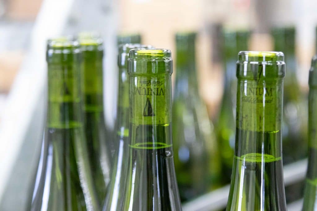 Lahvování vína, VINIUM, vinařství, foto ke článku