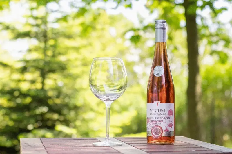 Střik z růžového vína Vinium Velké Pavlovice