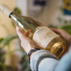 frizzante chardonnay 1