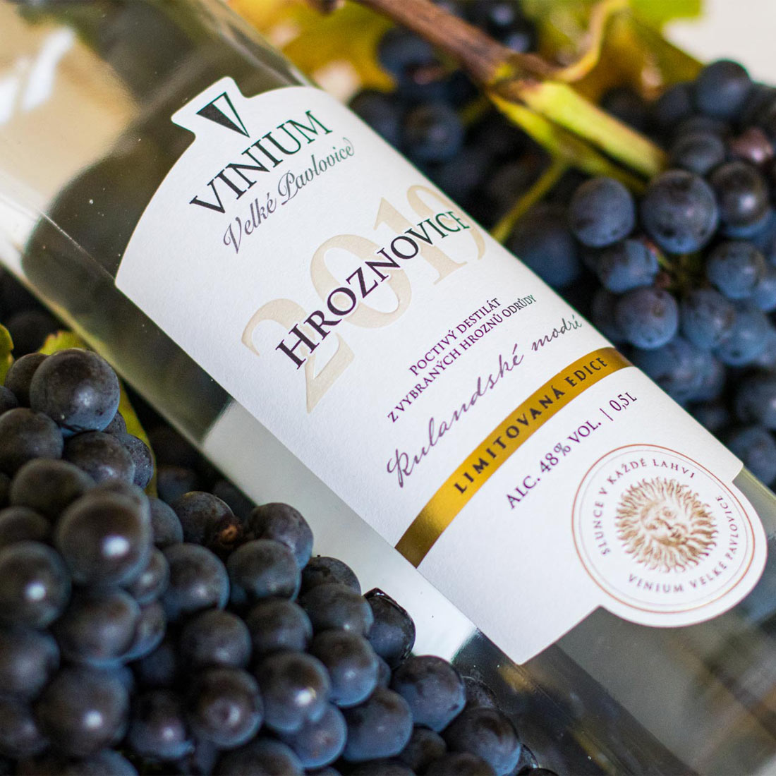 Hroznovice, VINIUM Velké Pavlovice, destilát, pálenka, Rulandské modré