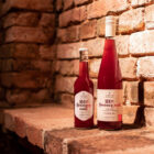 hroznovy most 2 optimized