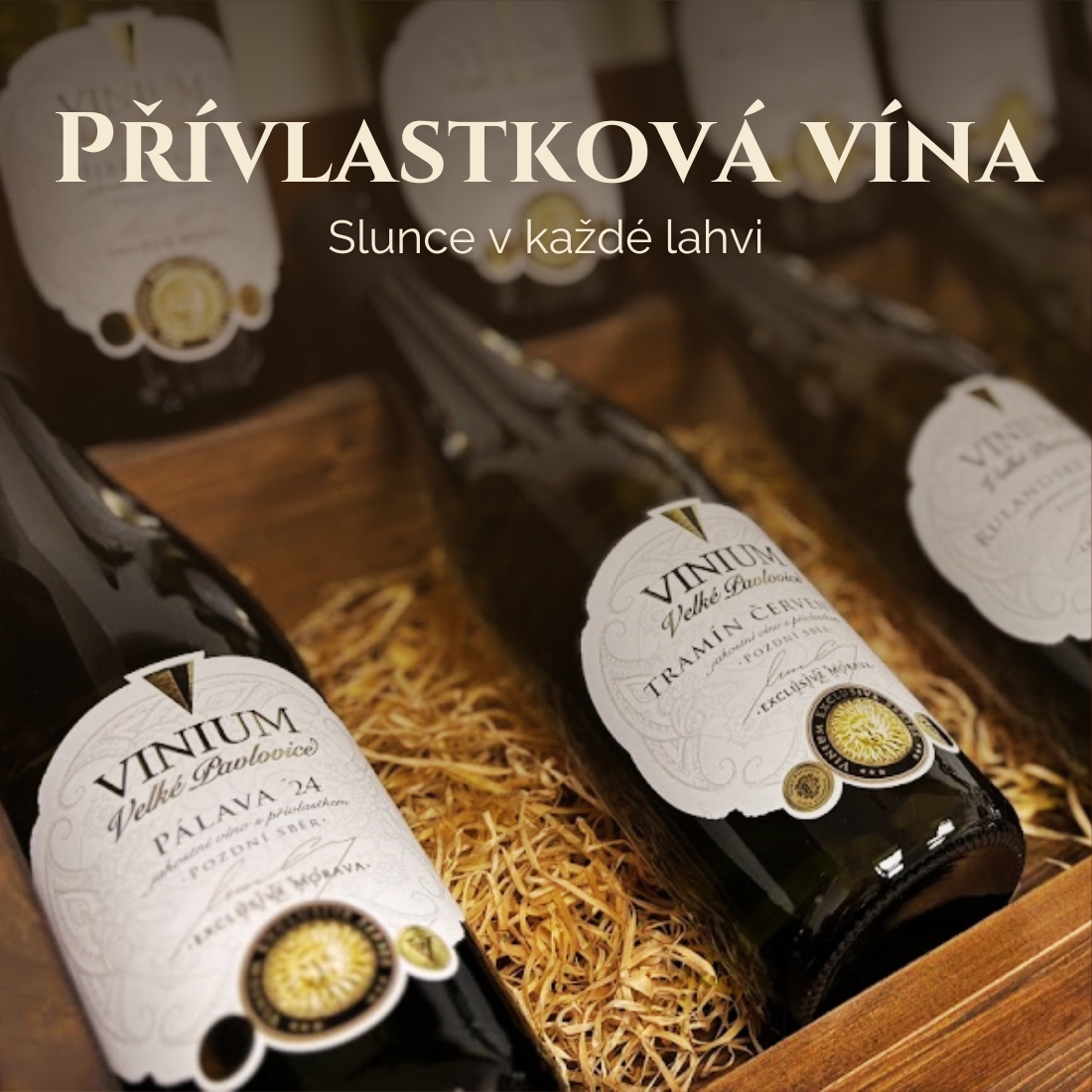 privlastkova vina eshop banner